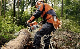 Бензопилы Stihl для лесного хозяйства